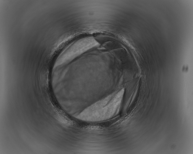 X0000088880685200707061411