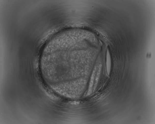 X0000088880687200707061410