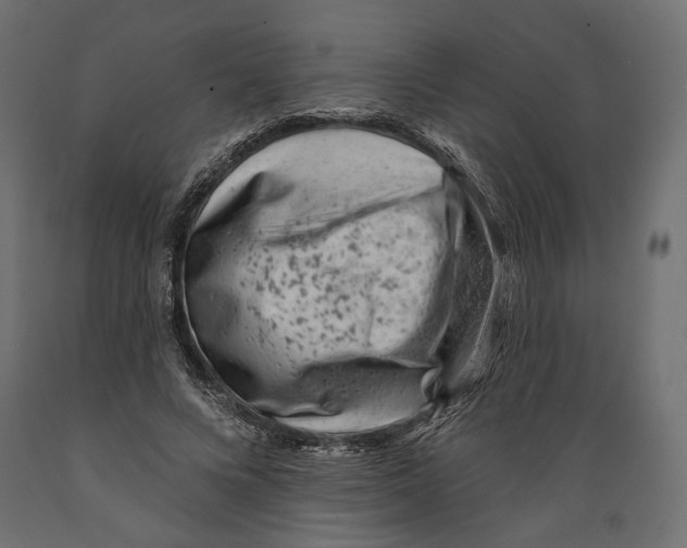X0000088880688200707061410