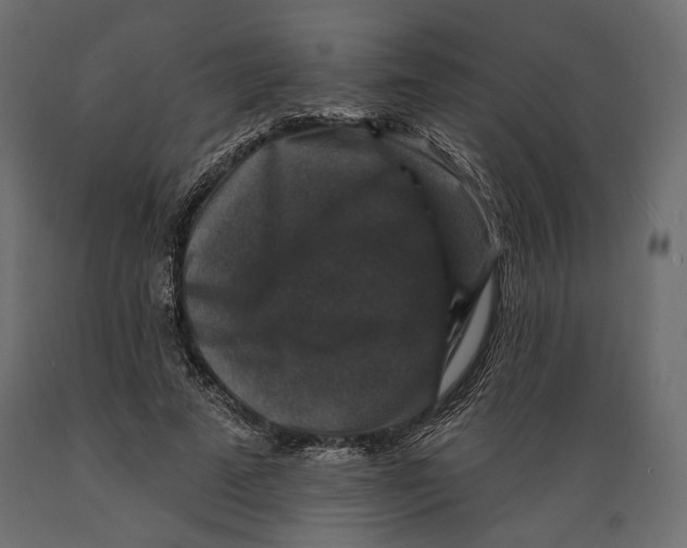 X0000088880689200707061410