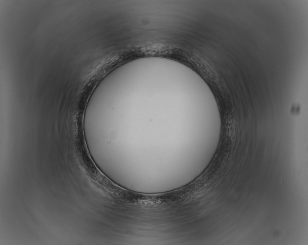 X0000088880690200707061410