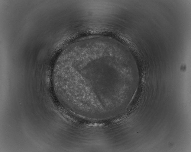 X0000088880691200707061410