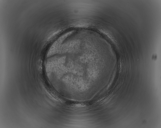 X0000088880692200707061410