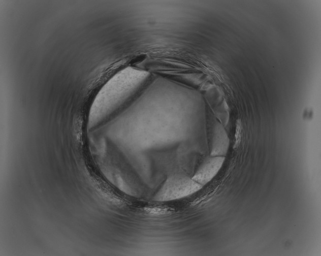 X0000088880693200707061410
