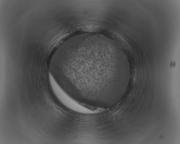 X0000088880696200707061410
