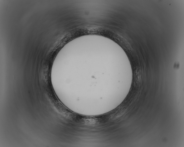 X0000088880698200707061410