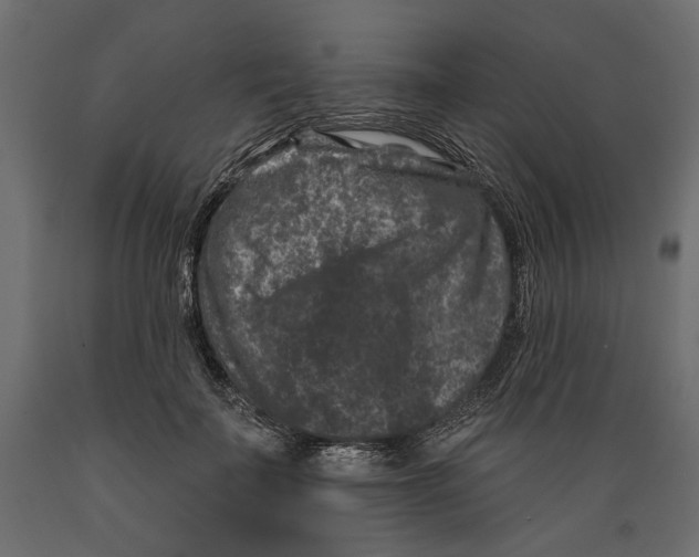X0000088880699200707061410