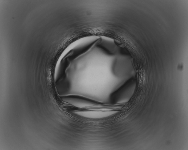 X0000088880700200707061410