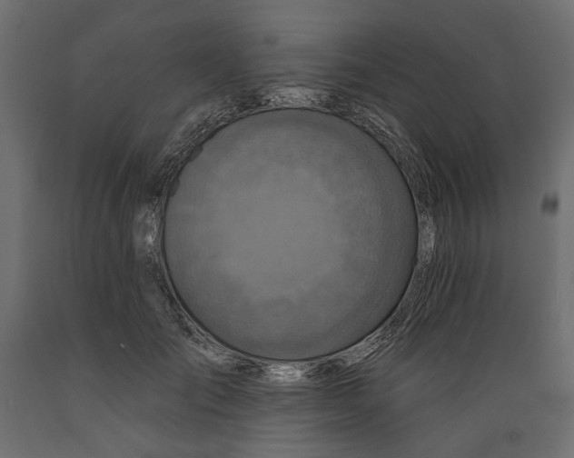 X0000088880701200707061410