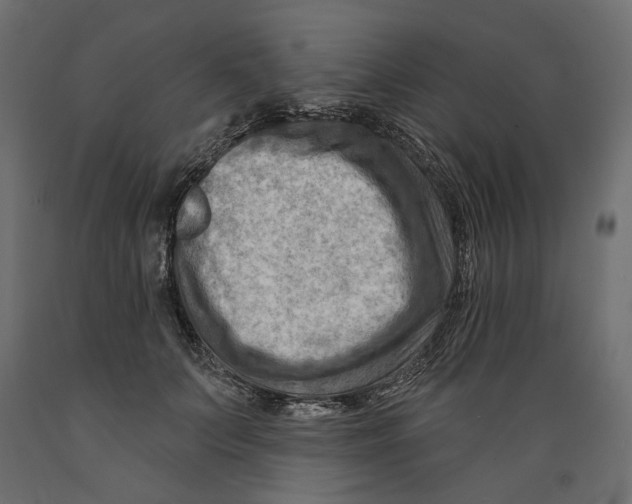 X0000088880703200707061410