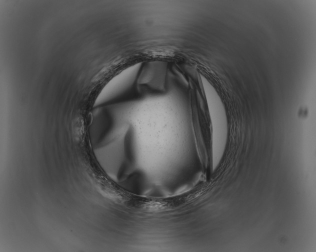 X0000088880704200707061410