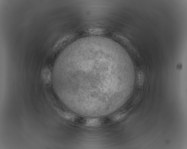 X0000088880705200707061410