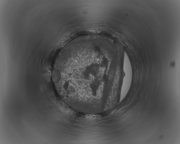 X0000088880707200707061410