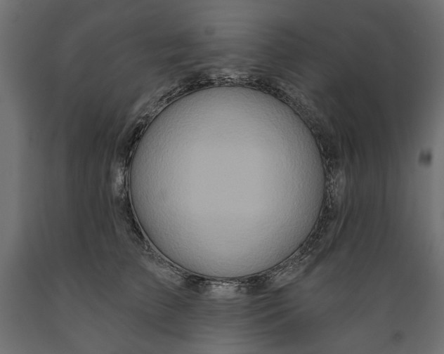 X0000088880709200707061410