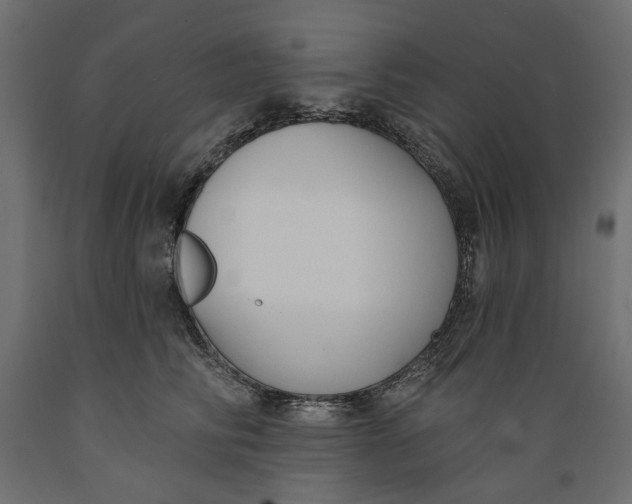 X0000088880710200707061410