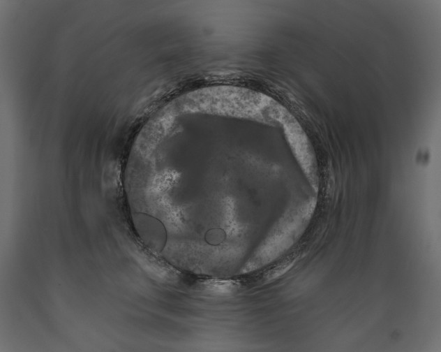 X0000088880711200707061410