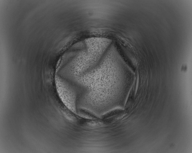 X0000088880712200707061410