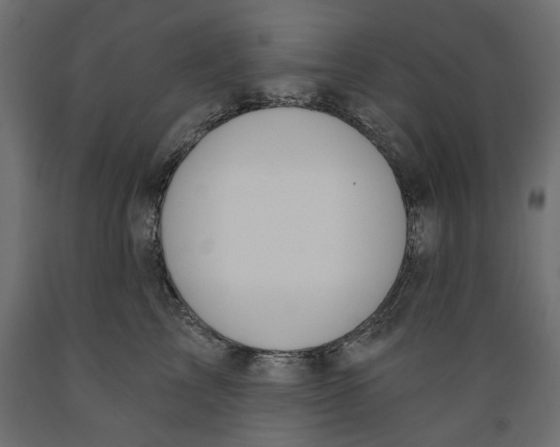 X0000088880713200707061410