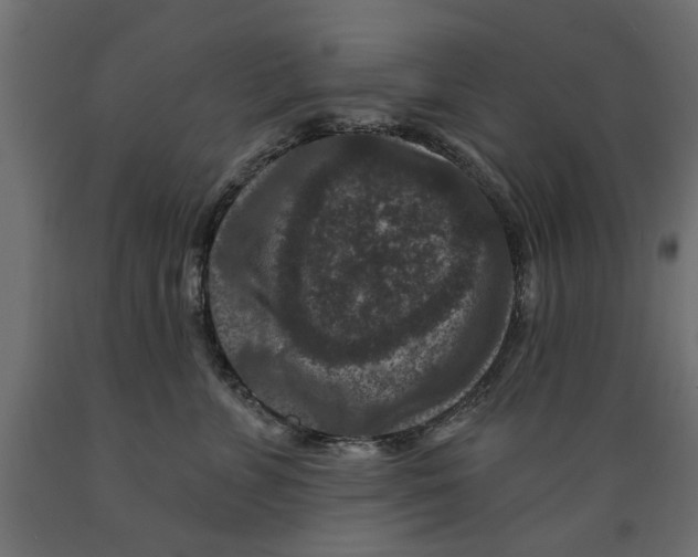 X0000088880715200707061410