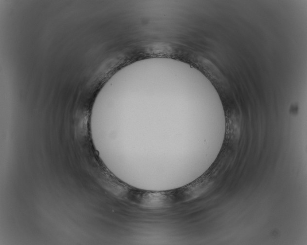 X0000088880717200707061410
