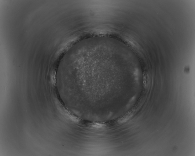 X0000088880718200707061410