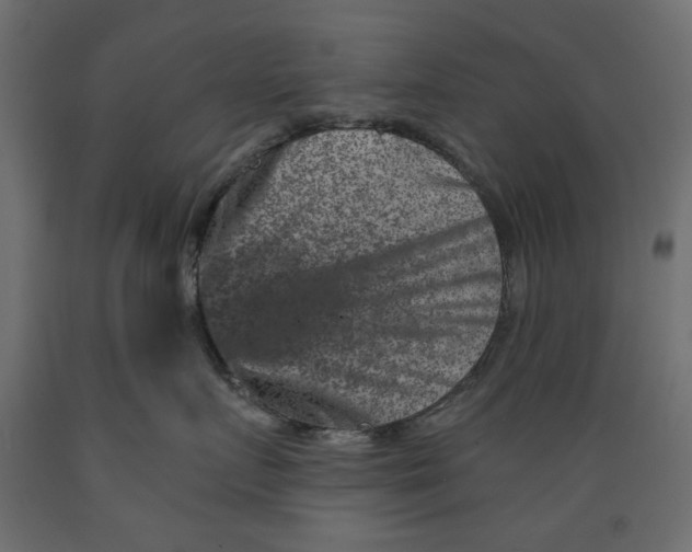 X0000088880719200707061410