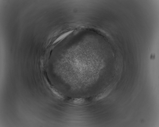 X0000088880720200707061410