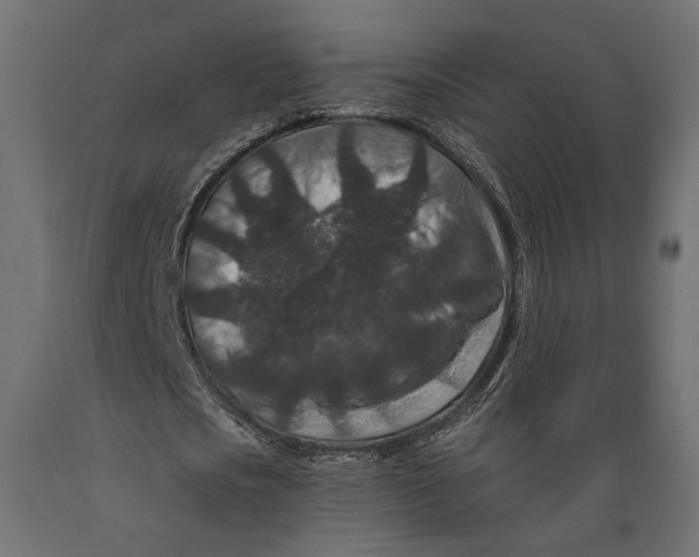 X0000088880721200707061409