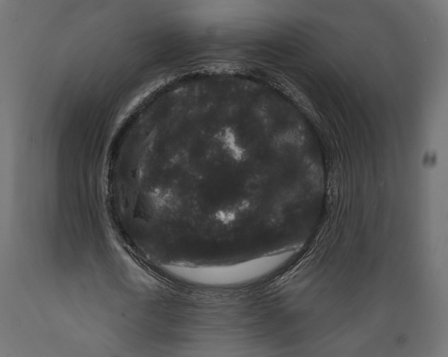 X0000088880722200707061409