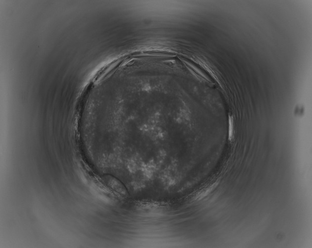 X0000088880723200707061409