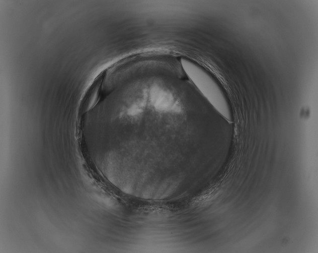 X0000088880724200707061409