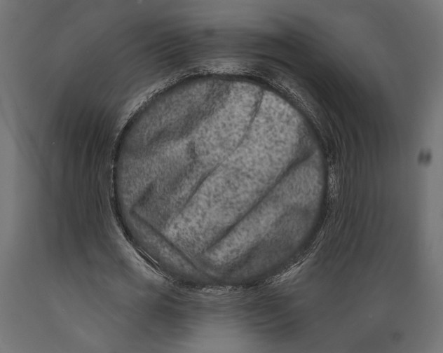 X0000088880725200707061409