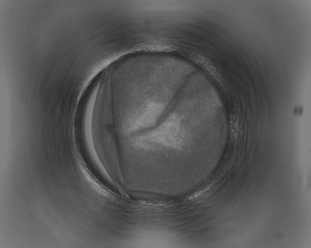 X0000088880726200707061409