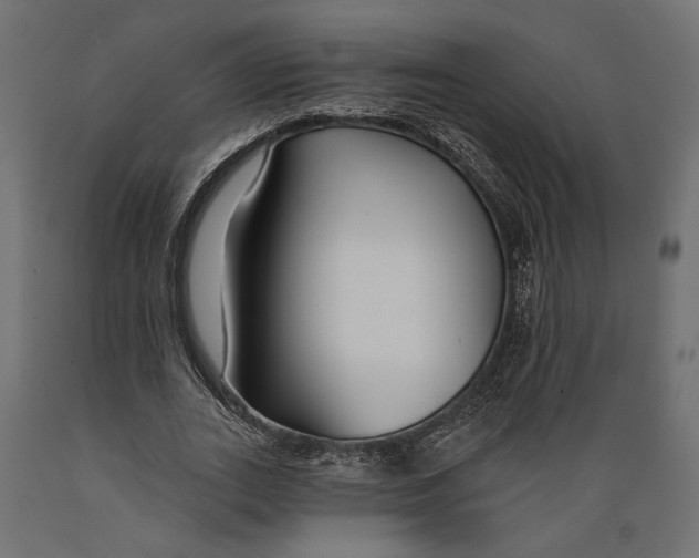 X0000088880727200707061409