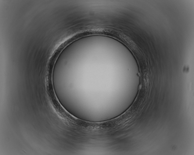 X0000088880728200707061409