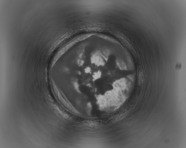 X0000088880729200707061409