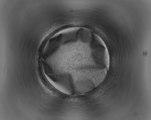 X0000088880730200707061409