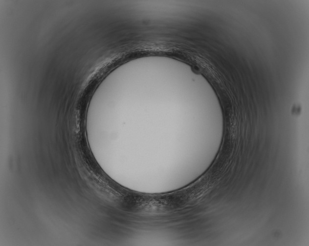 X0000088880731200707061409