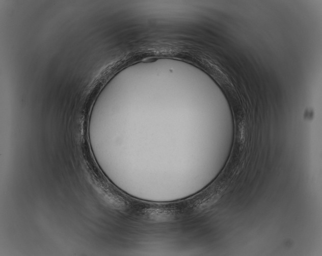X0000088880733200707061410