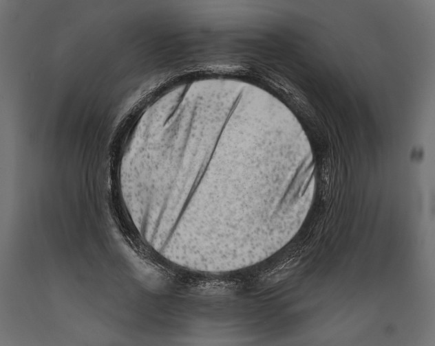 X0000088880734200707061410