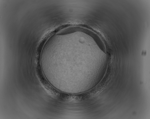 X0000088880736200707061410