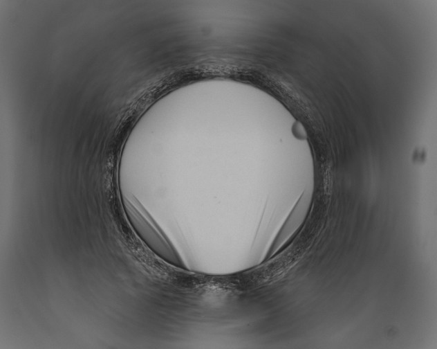 X0000088880737200707061410