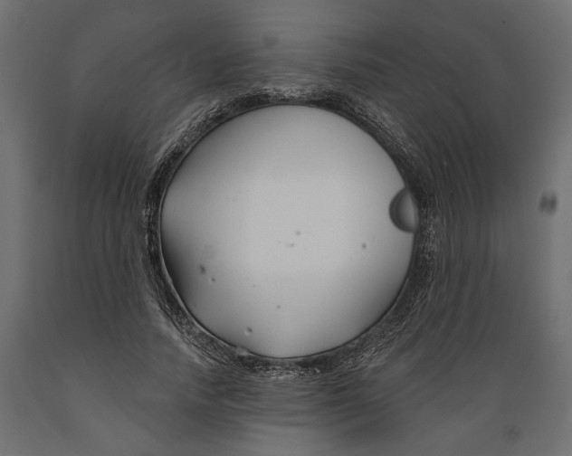 X0000088880738200707061410