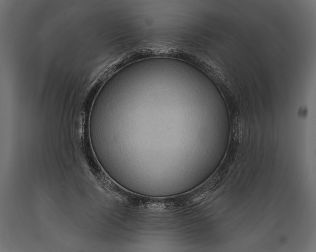X0000088880740200707061410