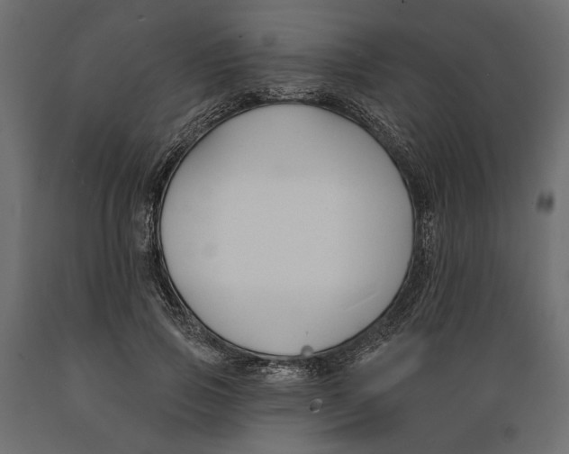 X0000088880741200707061410