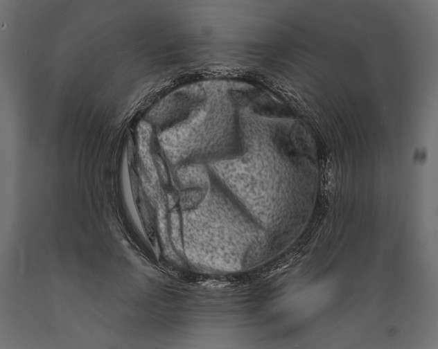 X0000088880742200707061410