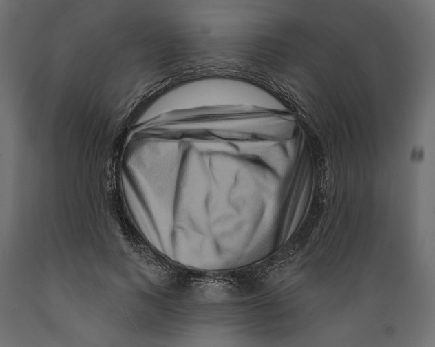 X0000088880743200707061410