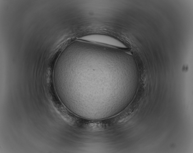 X0000088880744200707061410
