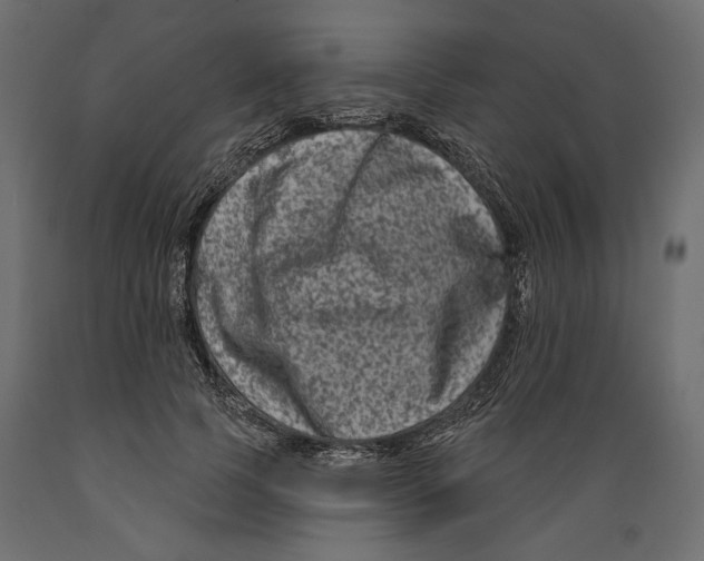 X0000088880745200707061410