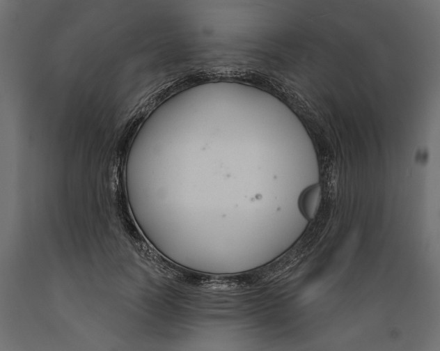 X0000088880746200707061410